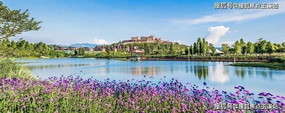 云南拥有得天独厚的气候优势,因此也收获了"动植物王国","菌类王国","