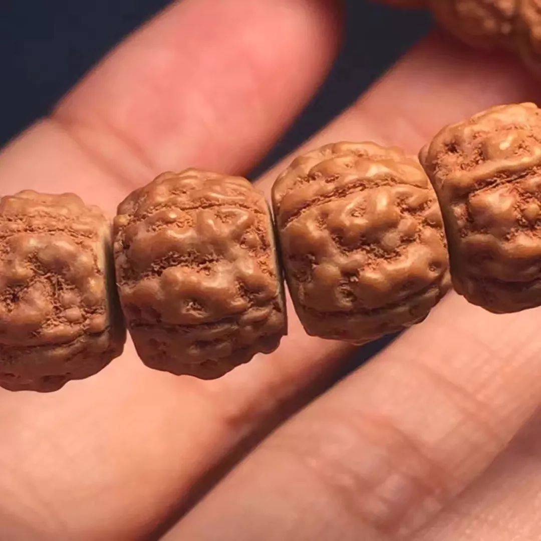 废了5把猪鬃刷刷出来的小金刚