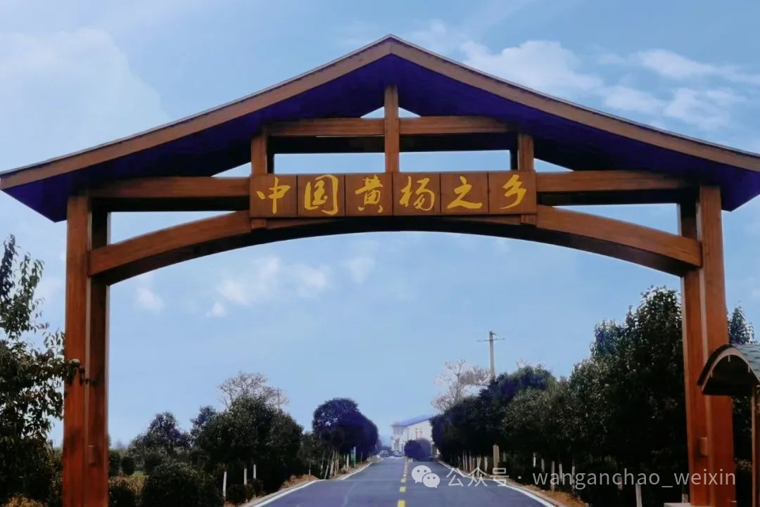 偃师区邙岭镇:兰庄村充分利用自然优势擘画乡村振兴蓝图 王安朝/文