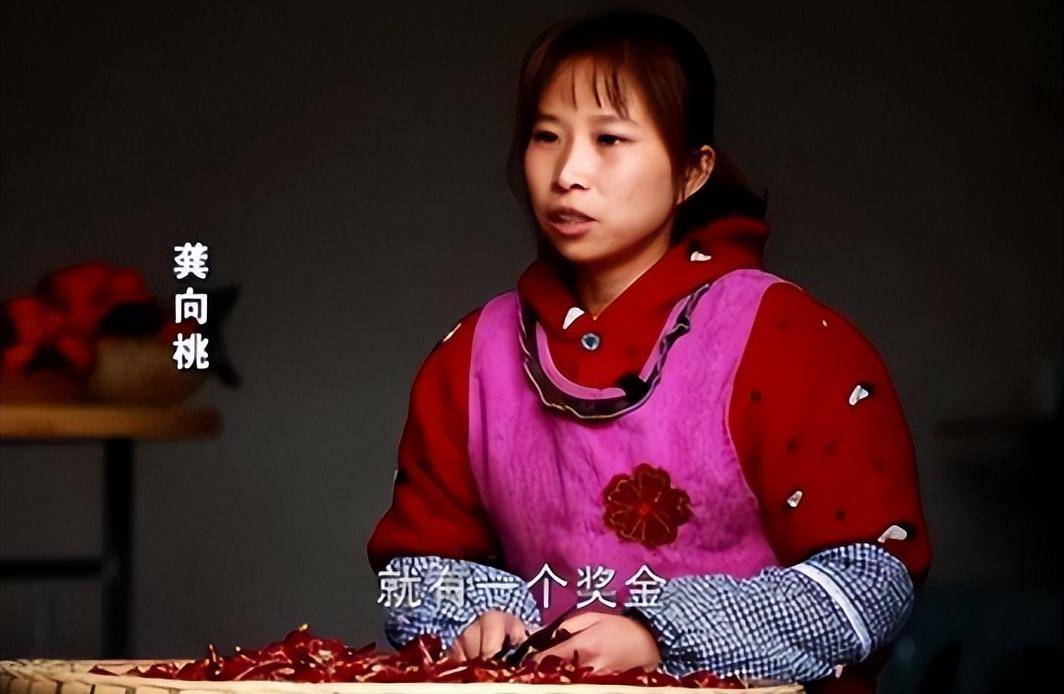 从农村主妇到千万网红,被央视点赞的网红桃子姐,现在怎样了?