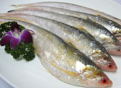 中国"最贵的"的鱼,一个吃不起,另一个则是不敢吃_长江_河豚_海城市