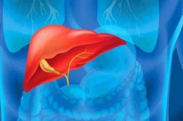 肝硬化最宝贵的就是时间,想要尽快逆转,这"3早"要做到!_肝脏_治疗_检