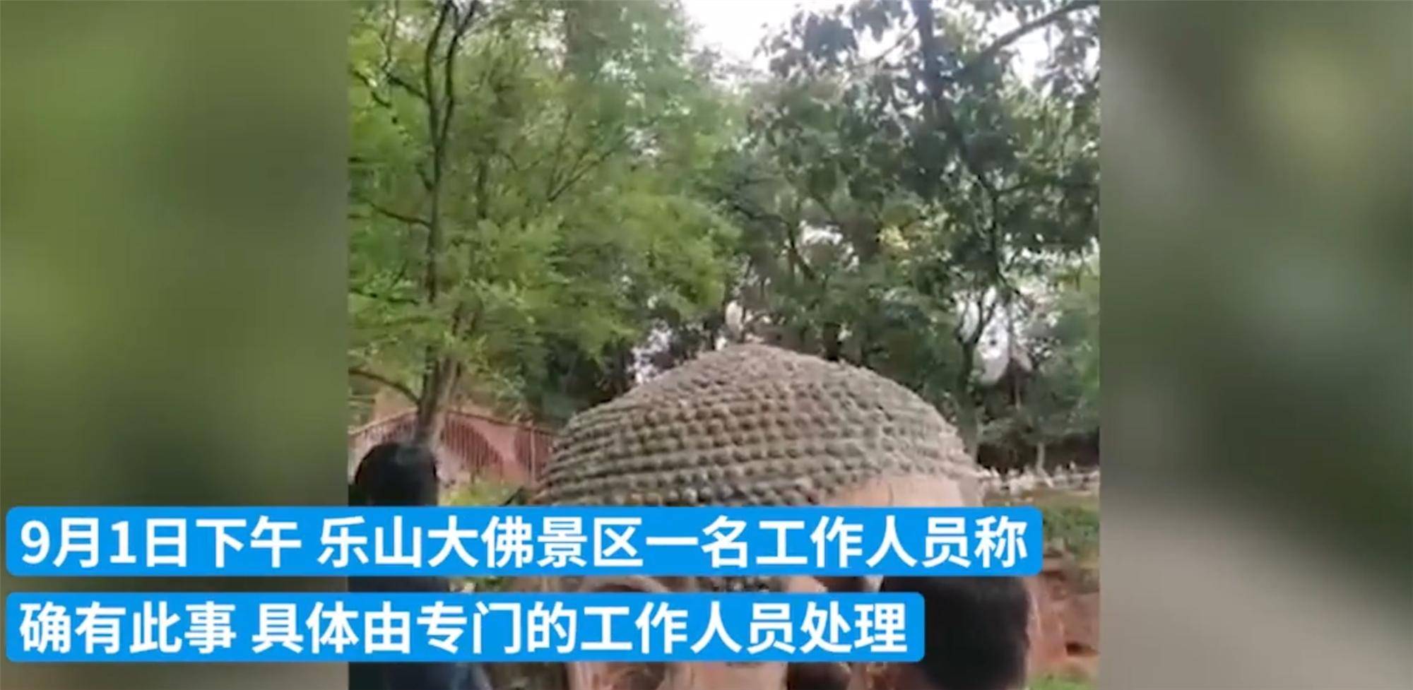 原创孙悟空都自愧不如男子在乐山大佛头顶小便官方通报其是精神病