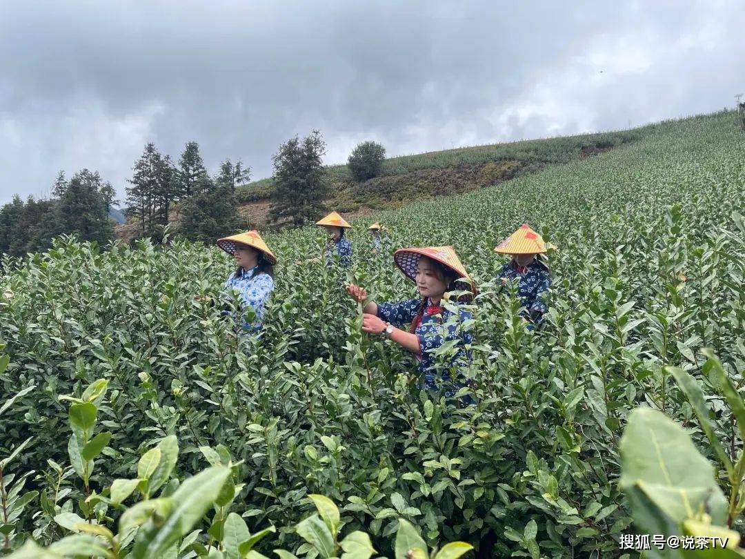 1%_活动_发展_事件