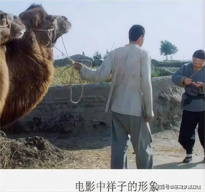 原创骆驼祥子的祥子撸起袖子干了一辈子连自己的女人也养不活