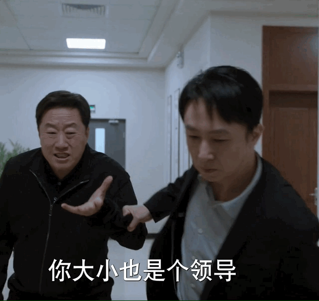 每句台词,都值得拿放大镜看!_领导_刘耕野_天才