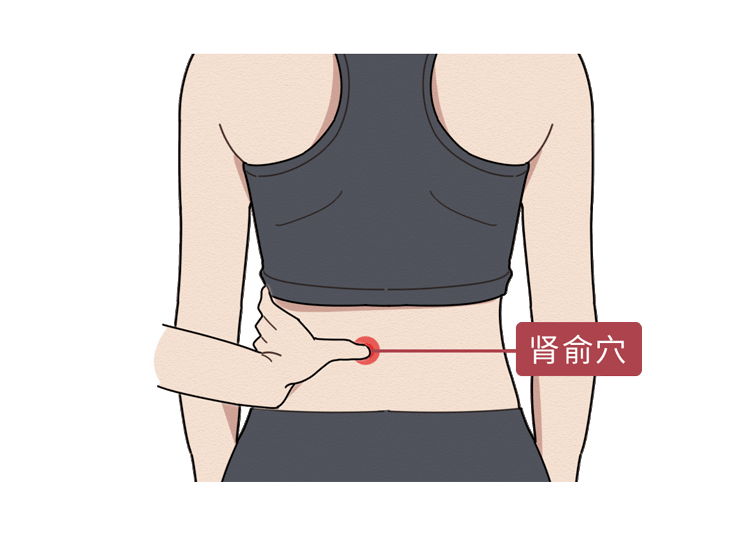 肾虚多是后天失养所致,中医五招助您养好肾!_于运动_肾气_调节