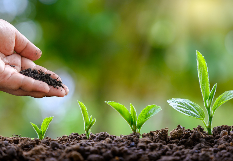 归农商城丨归农电商:兼顾经济效益与生态效益可持续农业发展之道_绿色