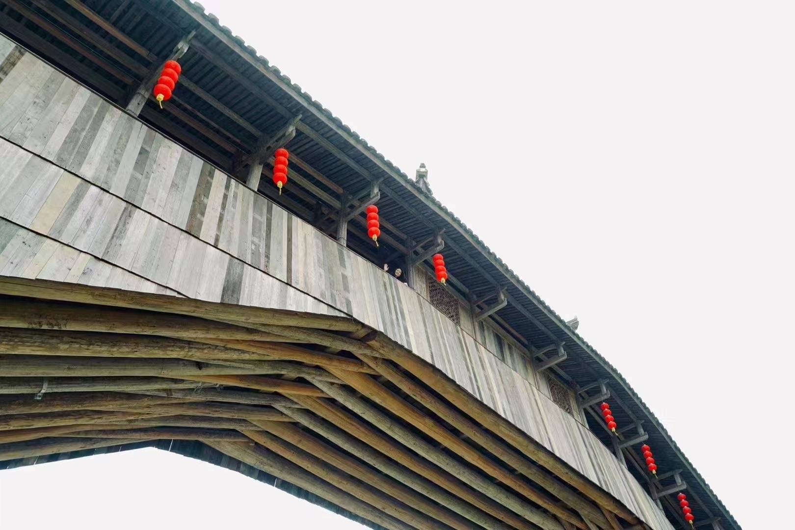 踏春赏花季,中国廊桥之乡欢迎你,廊桥中的比萨斜塔迎来最美时