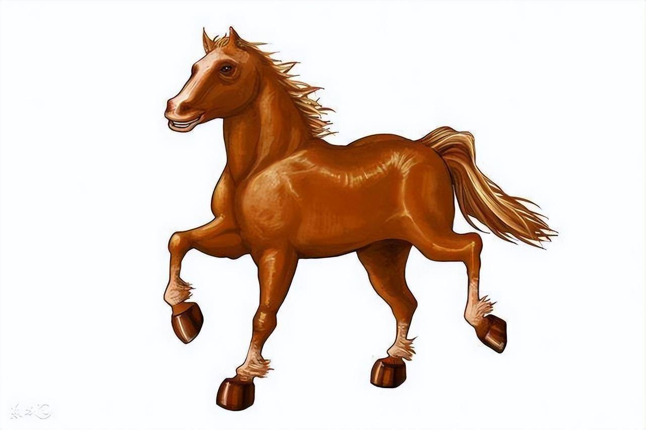 生肖马的最佳配偶是谁一生不离不弃幸福似鸳鸯