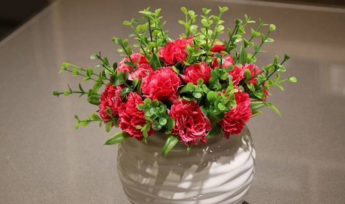 原创母爱之花康乃馨漂亮又有寓意养护的好四季都能开花