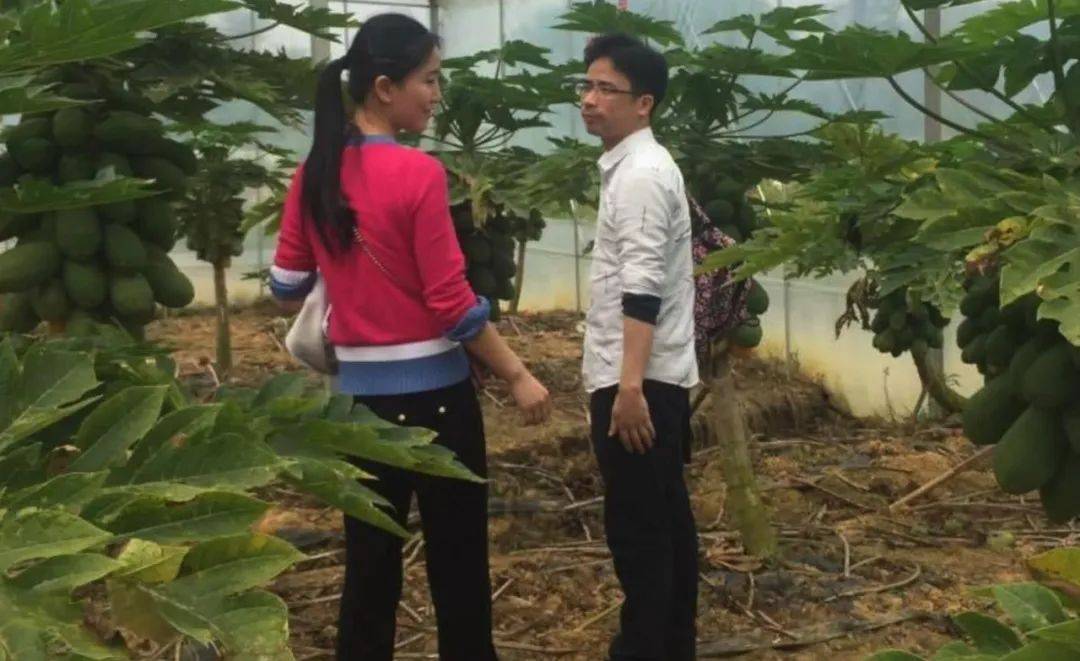 苏享茂_哥哥_对方