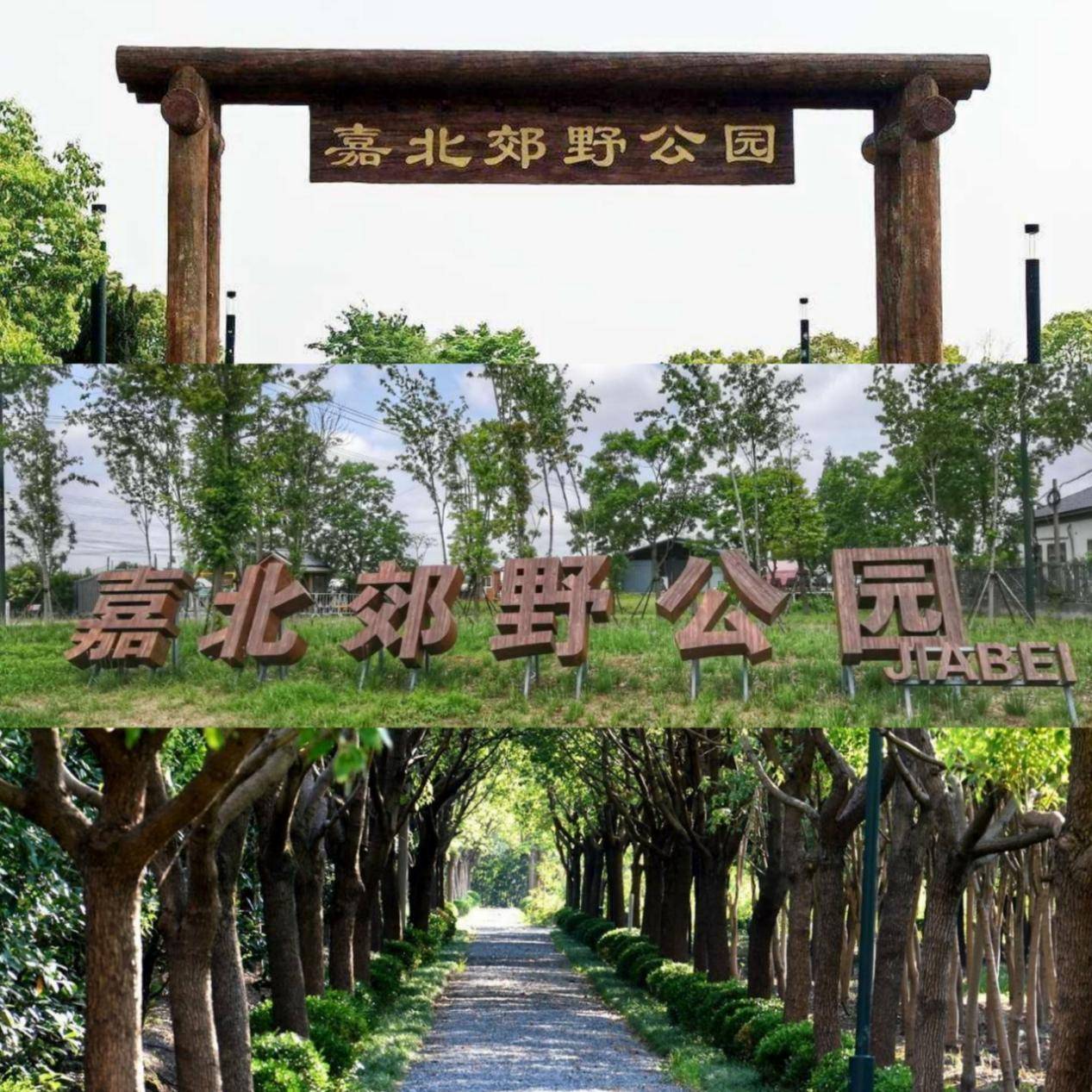 1400万平米——嘉北郊野公园80万平米——紫气东来公园60万平米