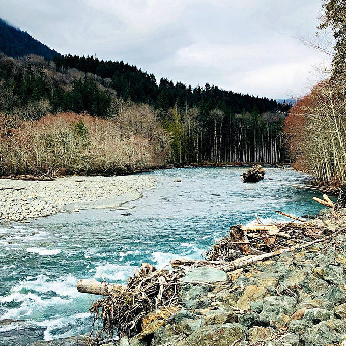 西雅图翻过雪山穿过雨林越过大洋浸透人间烟火气