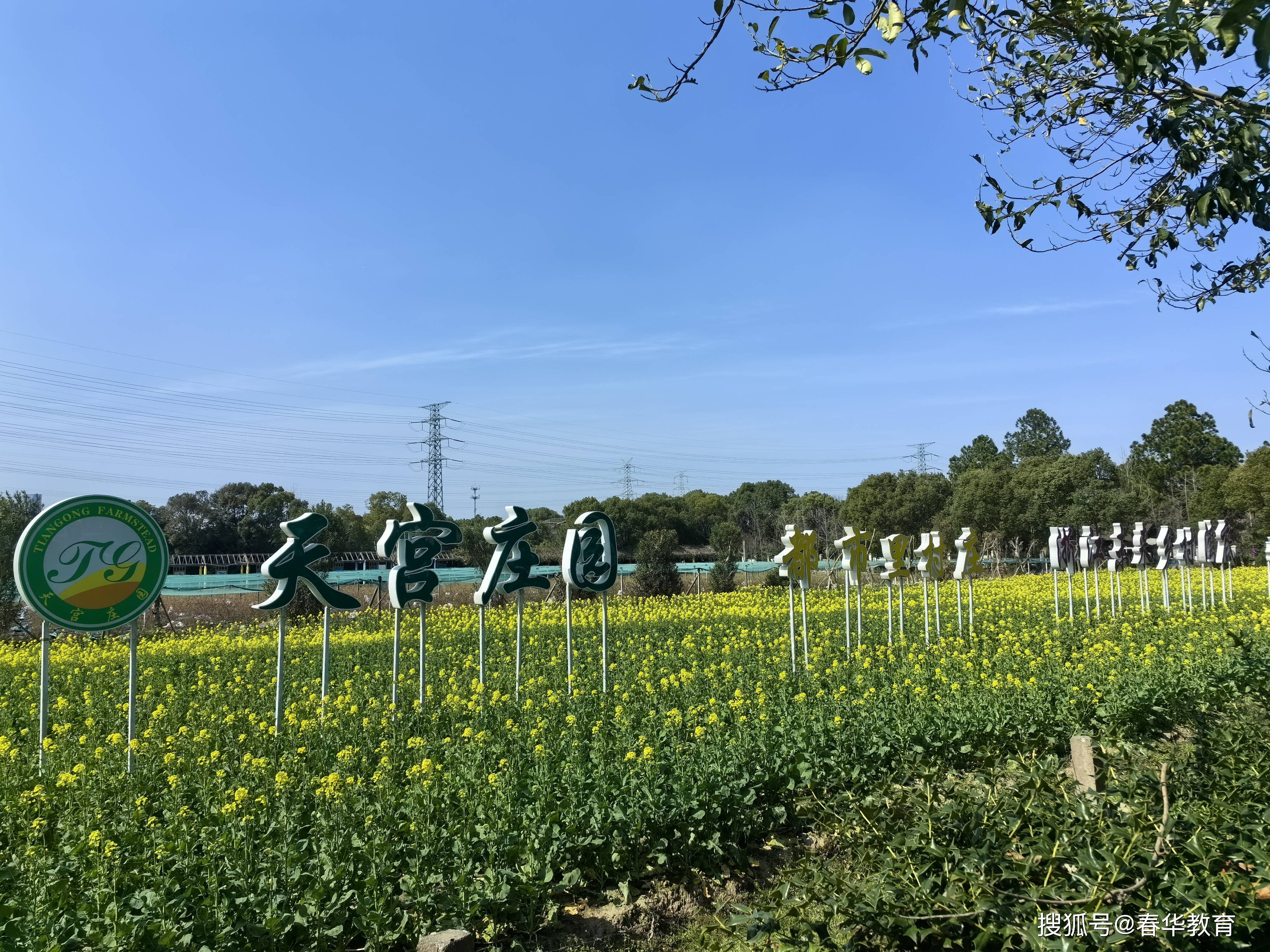 热辣春日 滚烫人生|春华教育集团宁波总部工会"三八女神节"户外烧烤