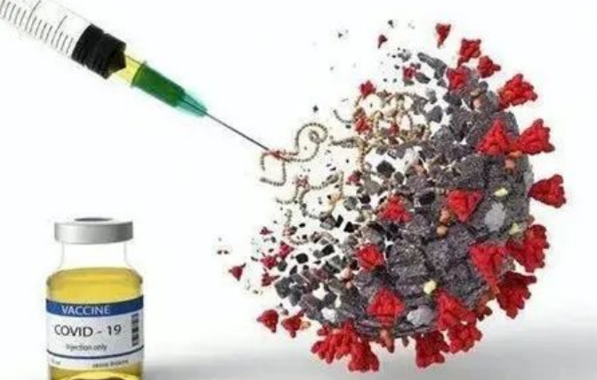 排卵后还吃辅酶q10和dhea吗做试管怎么才能排出好卵子