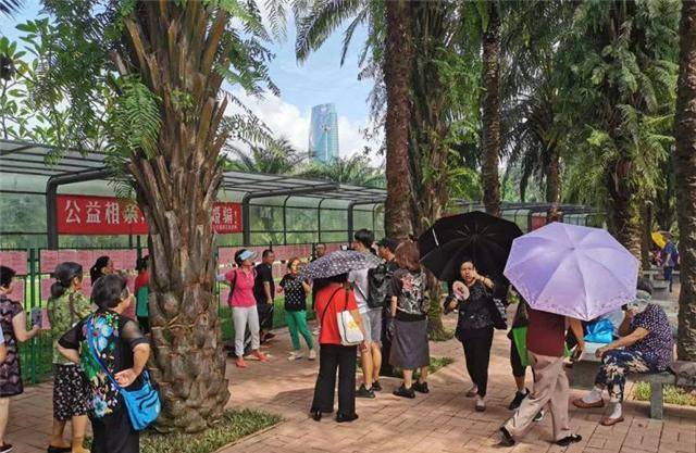 原创北京相亲角北京户口是基本月薪2万看不上有车有房算三流人