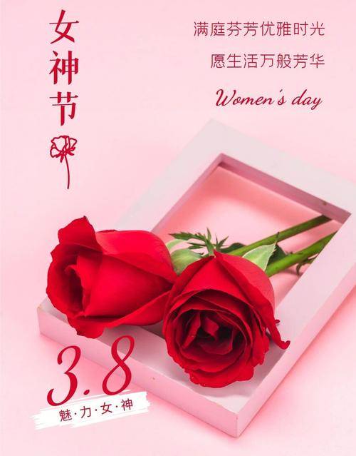 三八妇女节祝福语精选温馨话语传递深情庆祝女性魅力与力量