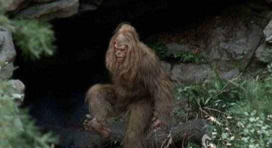 专家在神农架发现的"猴娃",真的是人猴杂交产下的吗_曾繁胜_野人_人类