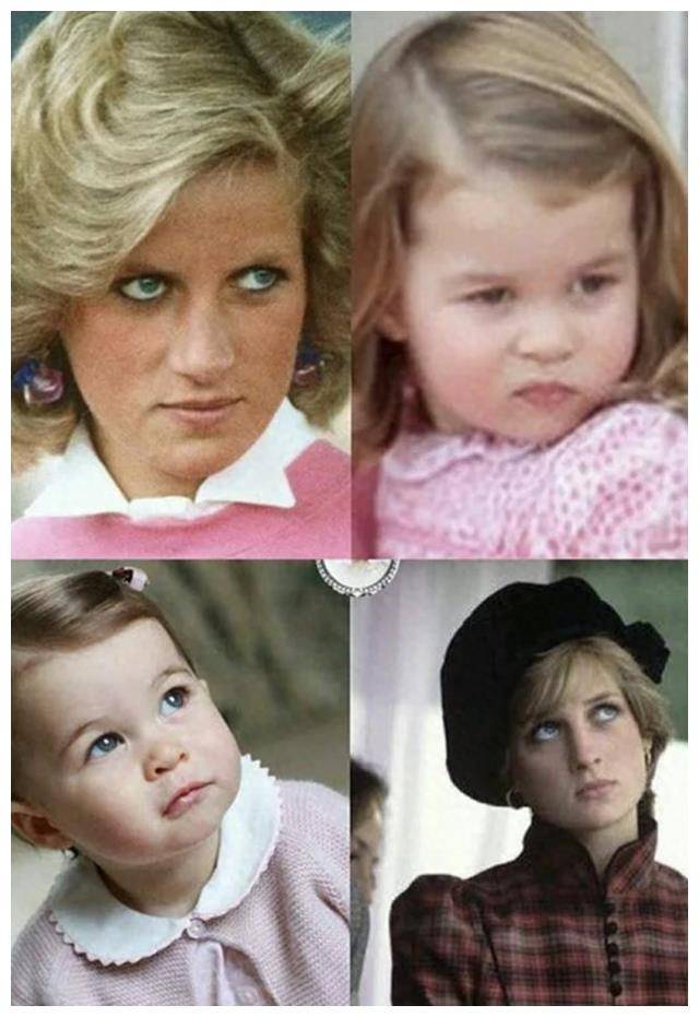 女王转生夏洛特披荆斩棘命运之路尽在掌握