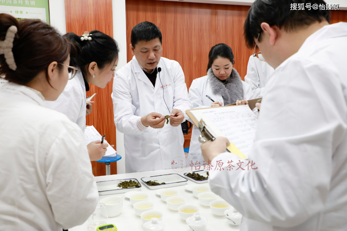 探索茶叶百科解码评茶师眼中的六大茶类的品质好茶