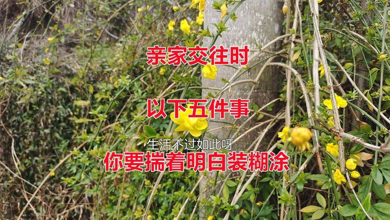 亲家交往时以下五件事你要揣着明白装糊涂