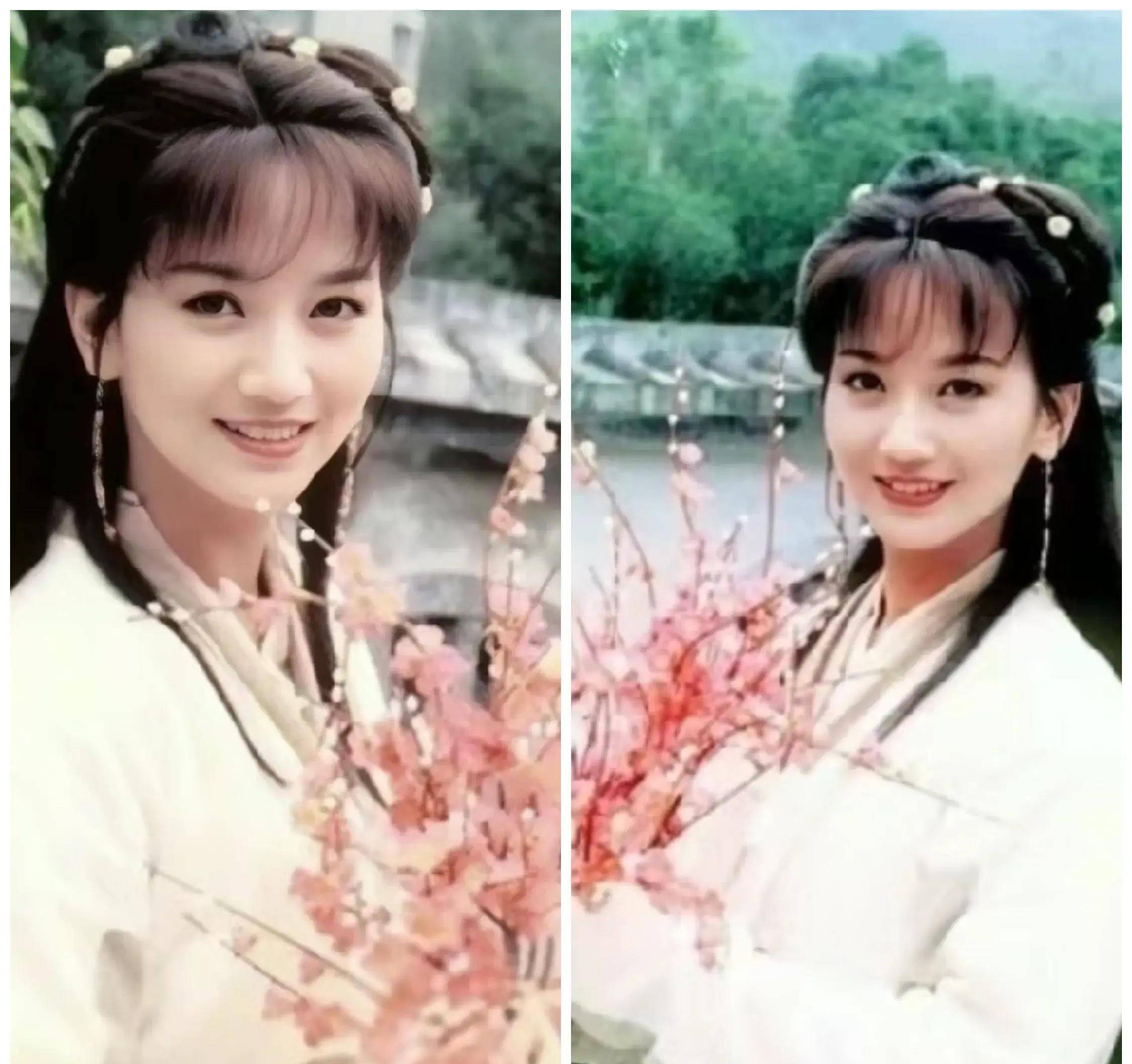 许仙更有影响力_贾宝玉_赵雅芝_造型