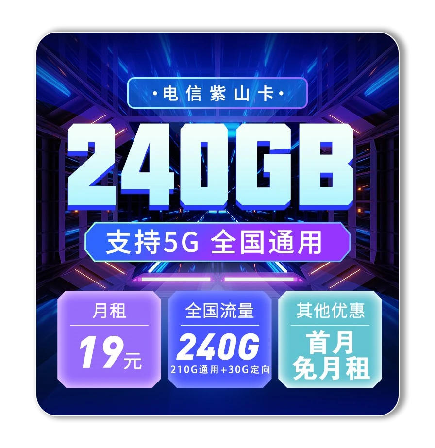 加量更新超大流量2年19元240g电信紫山卡短期2年