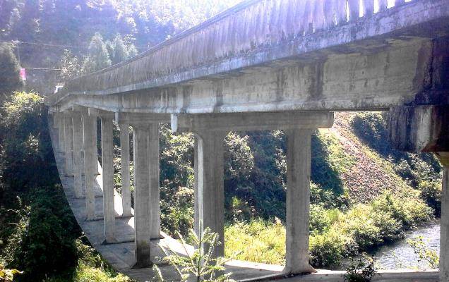 招宝山大桥设计师跳桥图片