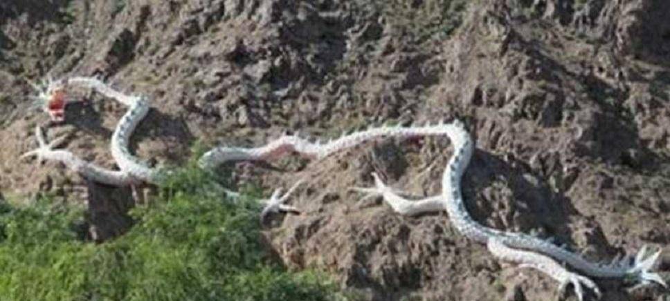 原创山东一70后小伙坚信世上存在真龙离家15年进深山只为寻龙