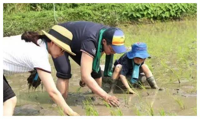 郭晶晶豪宅曝光!客厅16亿造价,却像鸡窝?豪门生活真相揭晓!