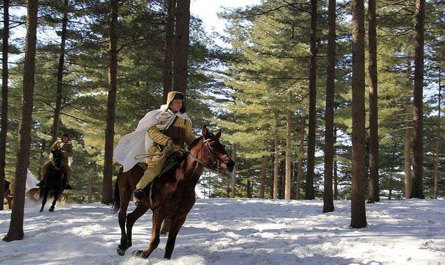 原创军史上一件奇事侦察兵不慎坠崖被一匹白马救了一命