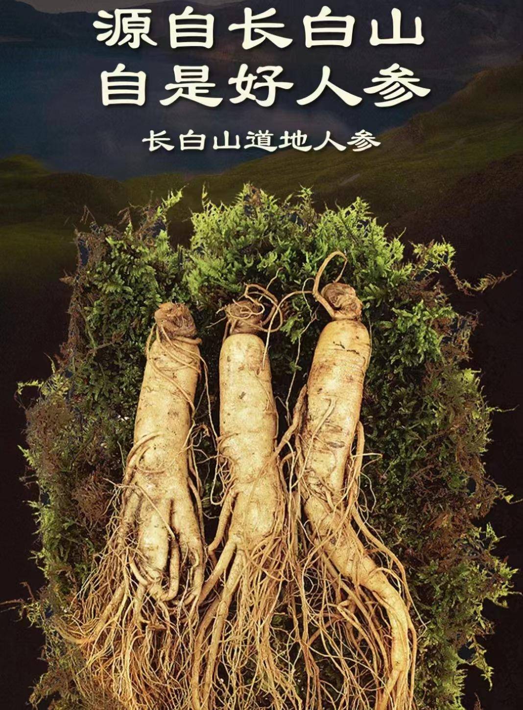 泉阳泉人参蒸馏酒口感独特的参香型酒