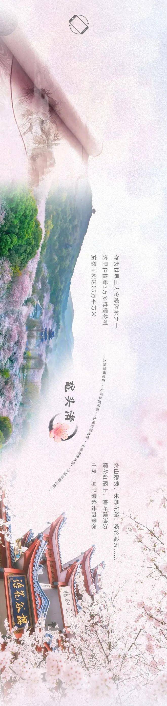 无锡这些地方…马上人山人海!_寒樱_吉野_景区