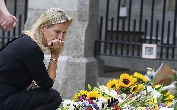 原创苏菲王妃长得7分像戴安娜对威廉很有爱卡米拉就是邪恶继母