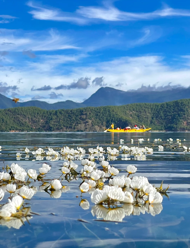 云南旅游攻略必去景点排行榜你知道几个