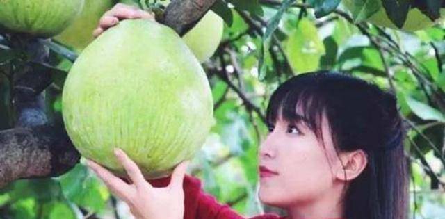 原创割裂的李子柒外国人眼中的中国公主中国人眼中的污点网红