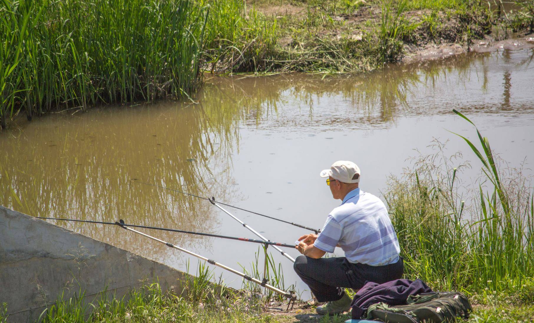 原创钓鱼爱好者指南野钓黑坑与台钓的乐趣与挑战