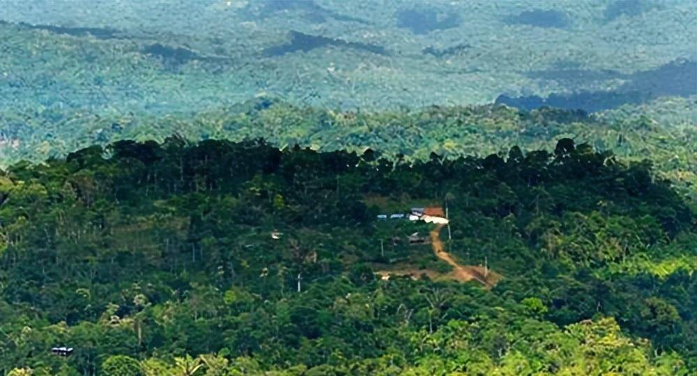 刚果金目前人口8960万,虽然没有到一亿,但排名还是很高.