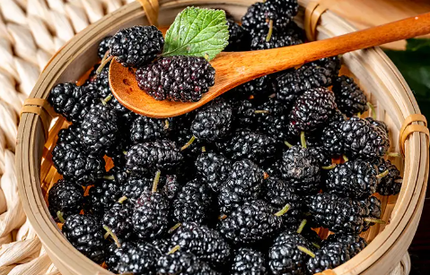 原浆_桑葚_身体