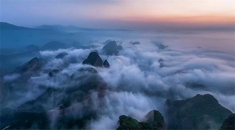 又是一年三月天油菜花等你来