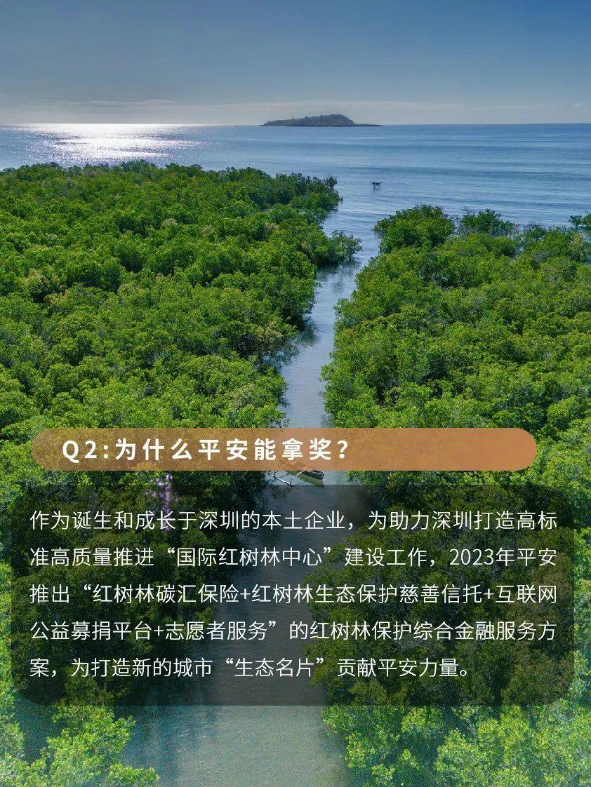 深圳红树林手抄报图片