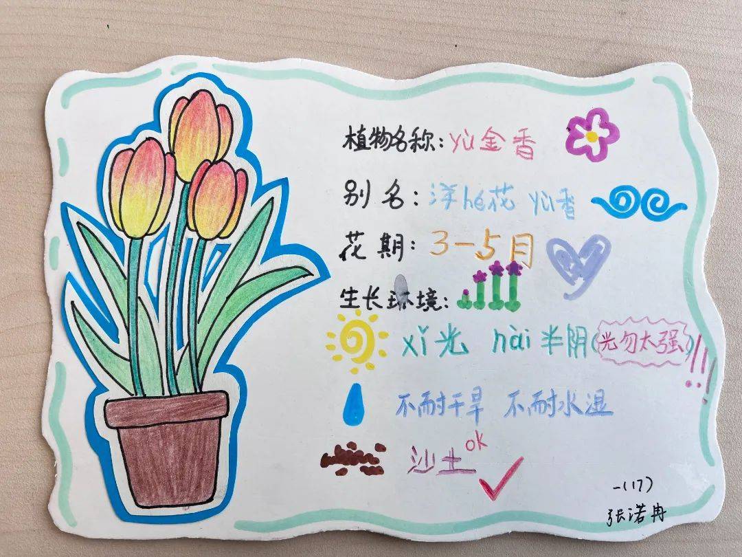 家人,查阅书籍,搜集资料等方式,给植物们绘制出个性鲜明的"植物名片"