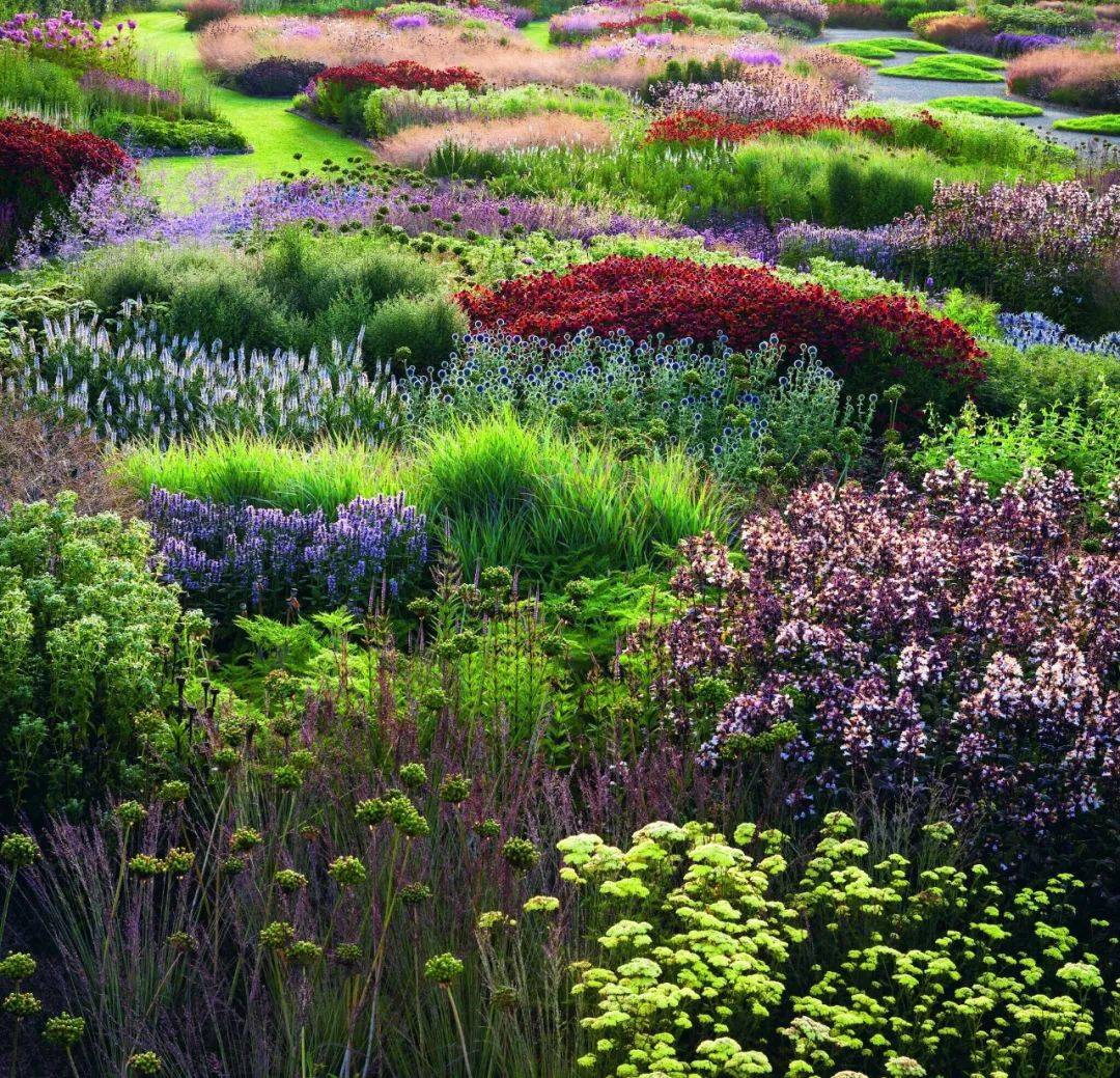 说设计最治愈的花园设计意向图