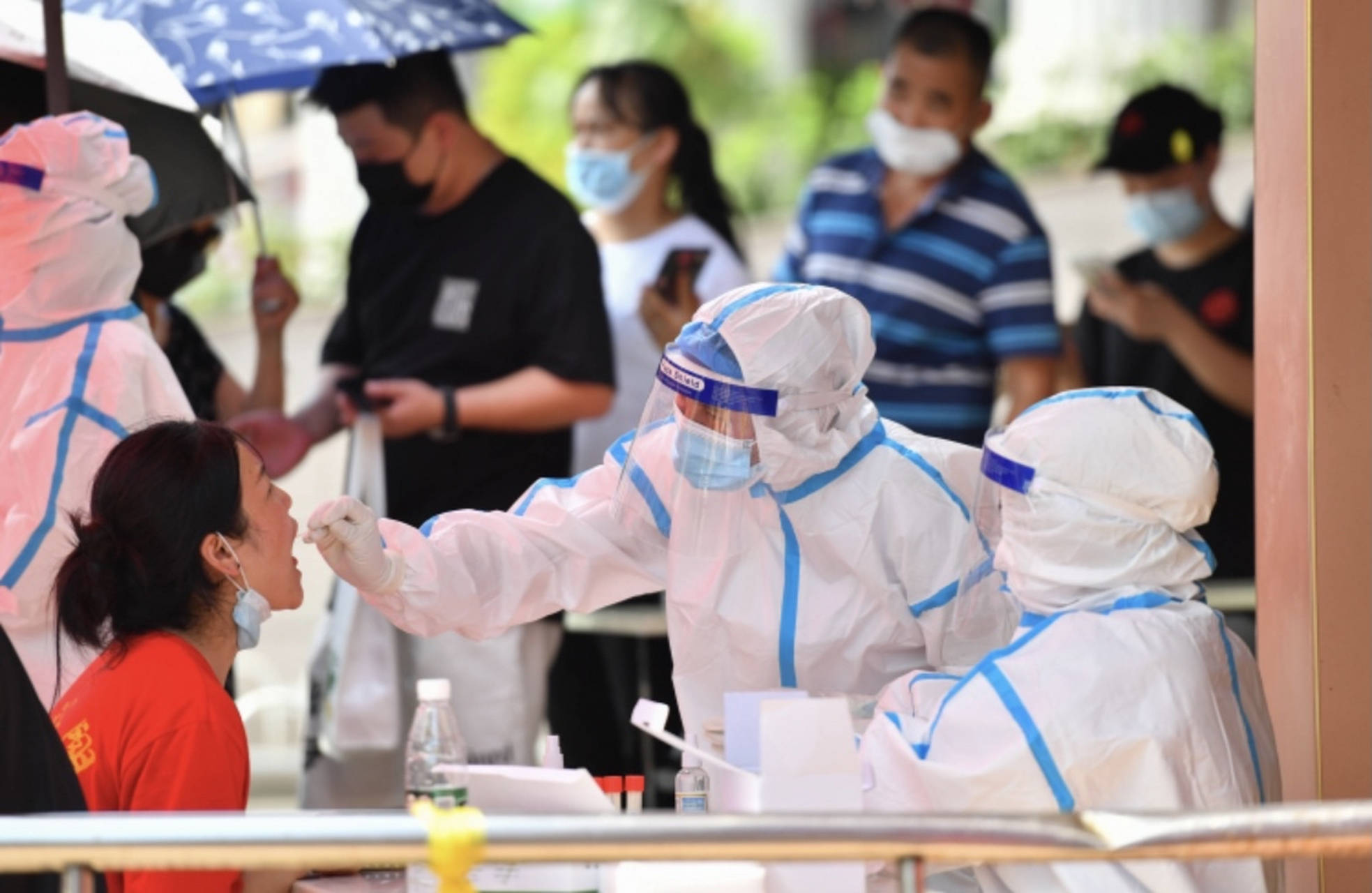 在新冠核酸检测之前,核子基因的主要业务是亲子鉴定.