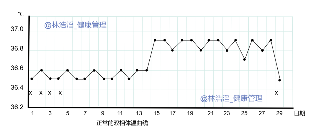 干货分享多囊该怎么测基础体温什么样的基础体温有排卵