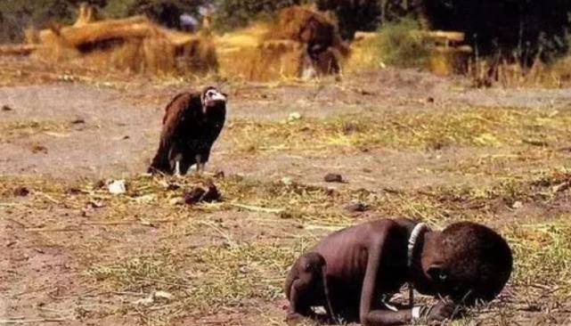 只见这张照片中,一个因营养不良,瘦到皮包骨的非洲小女孩,正因为饥渴