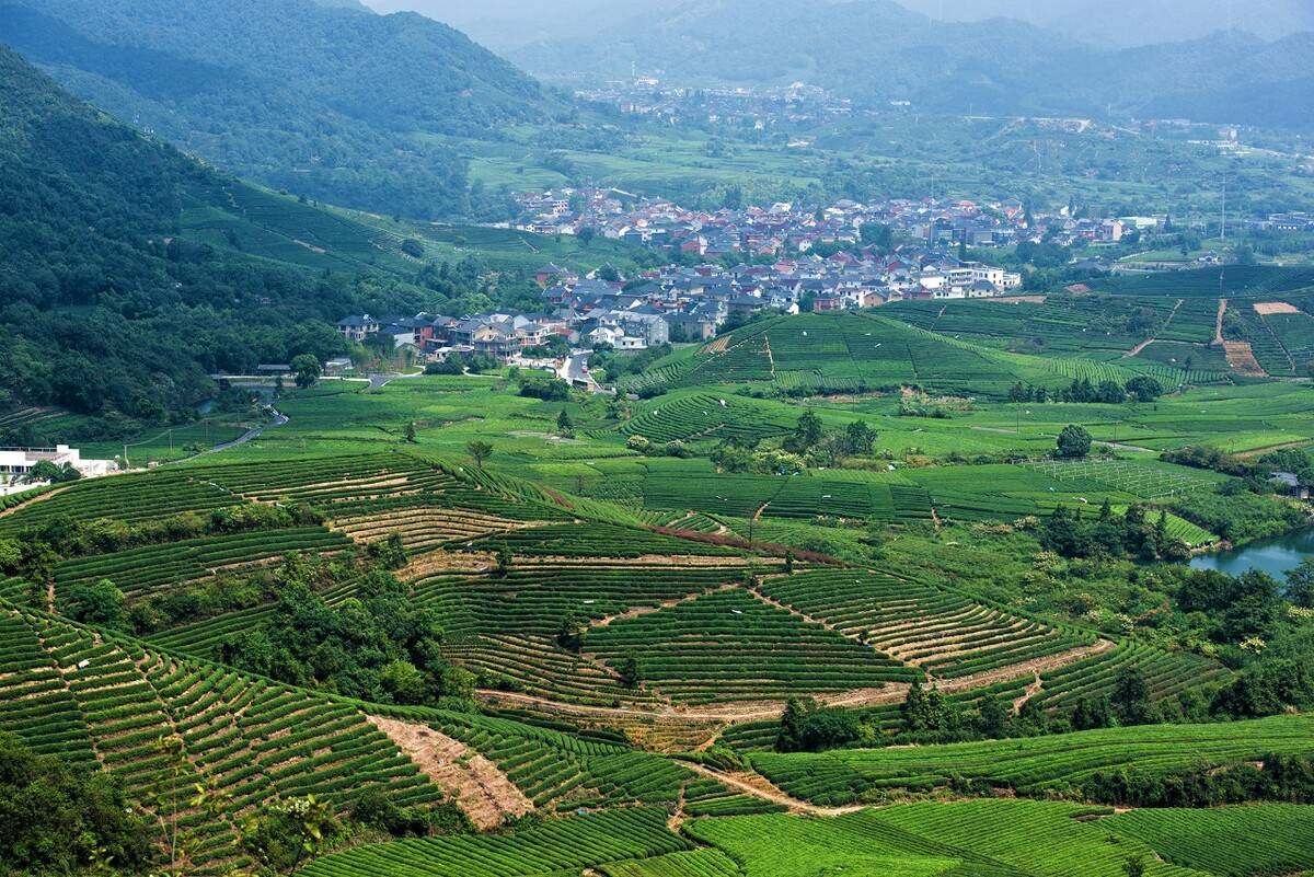 一路走走停停很有野趣路线1龙坞茶村-西山森林公园-光明寺水库-茶园