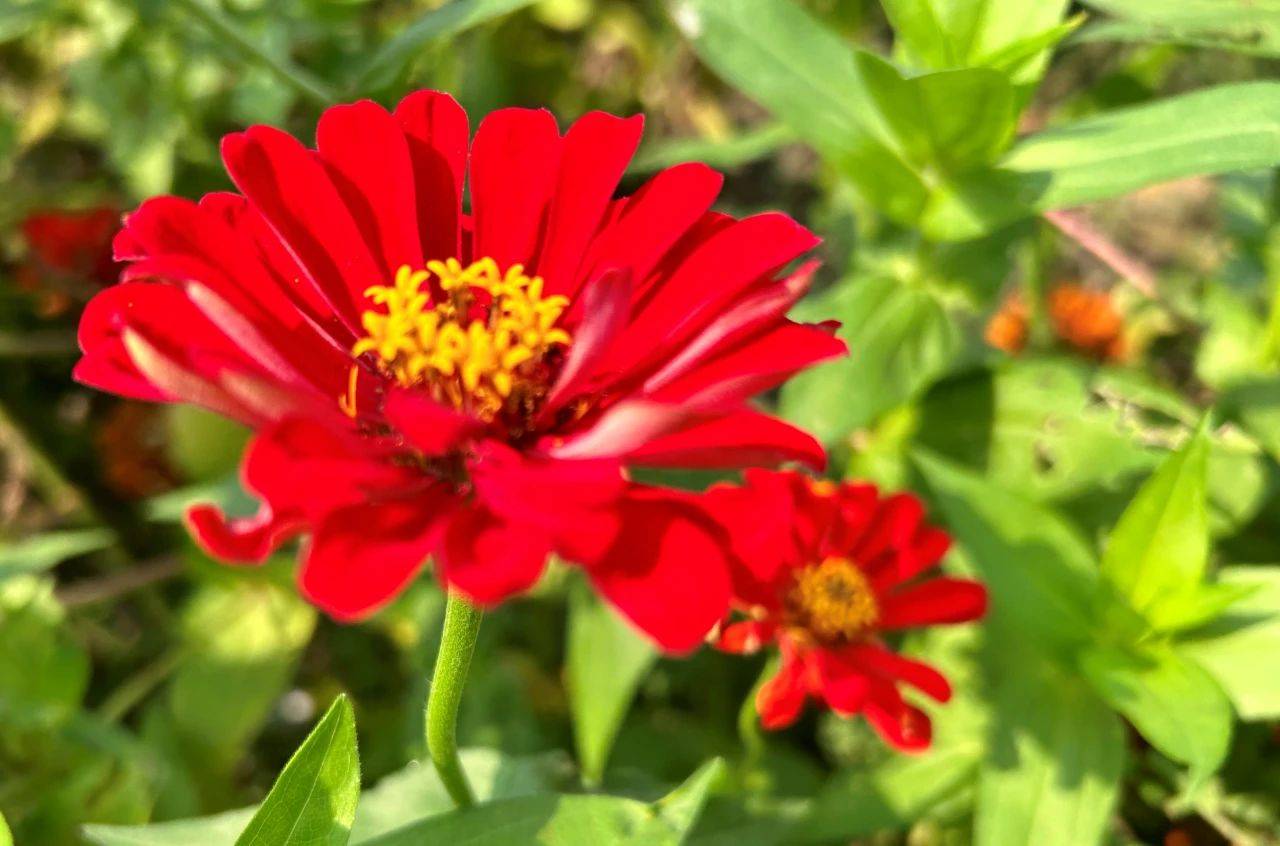 天若渡你必有征兆一个人将走好运的几个征兆希望你全中