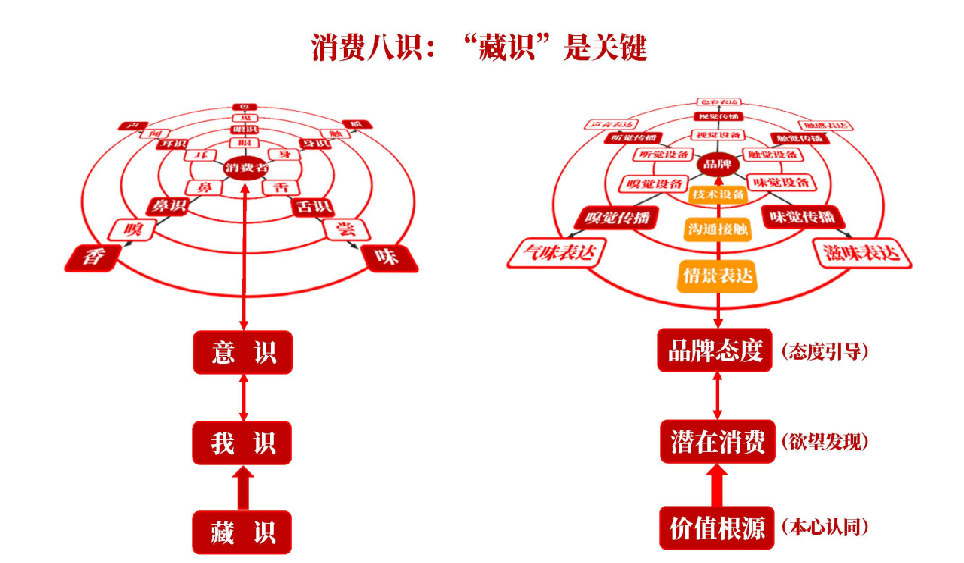 八识四分关系图图片